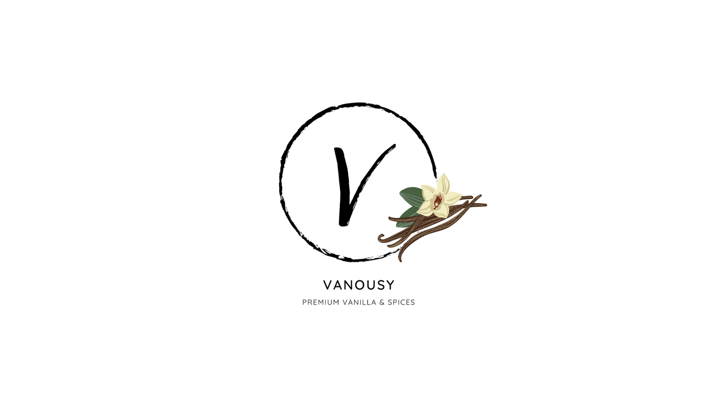 logo vanousy